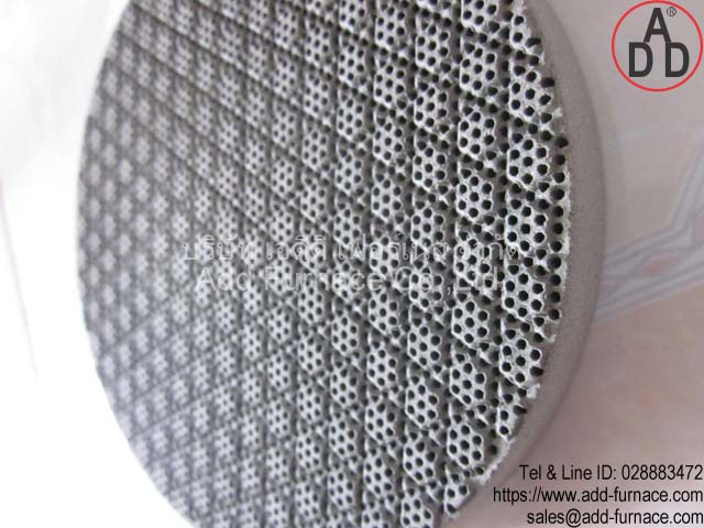 RGX diameter 129mm ceramic honeycomb(5)